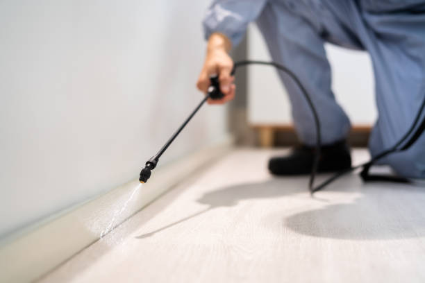 Licensed Pest Control service in St. Peters, MO - Show Me Pest Control