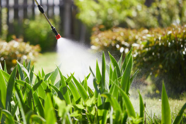 24/7 Emergency Mosquito Control experts in St. Peters, MO