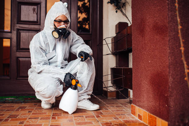 Reliable Mosquito Control contractor in St. Peters, MO by Show Me Pest Control